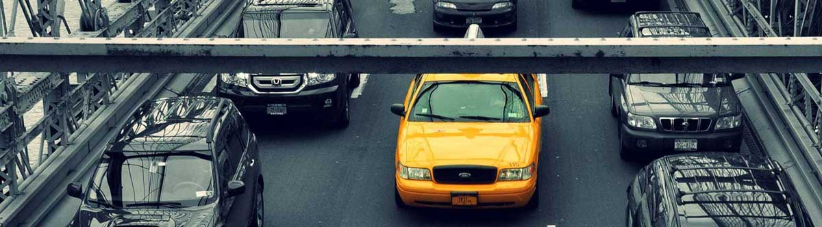 Chauffeur Service in Sri Lanka for private travel in Sri Lanka
