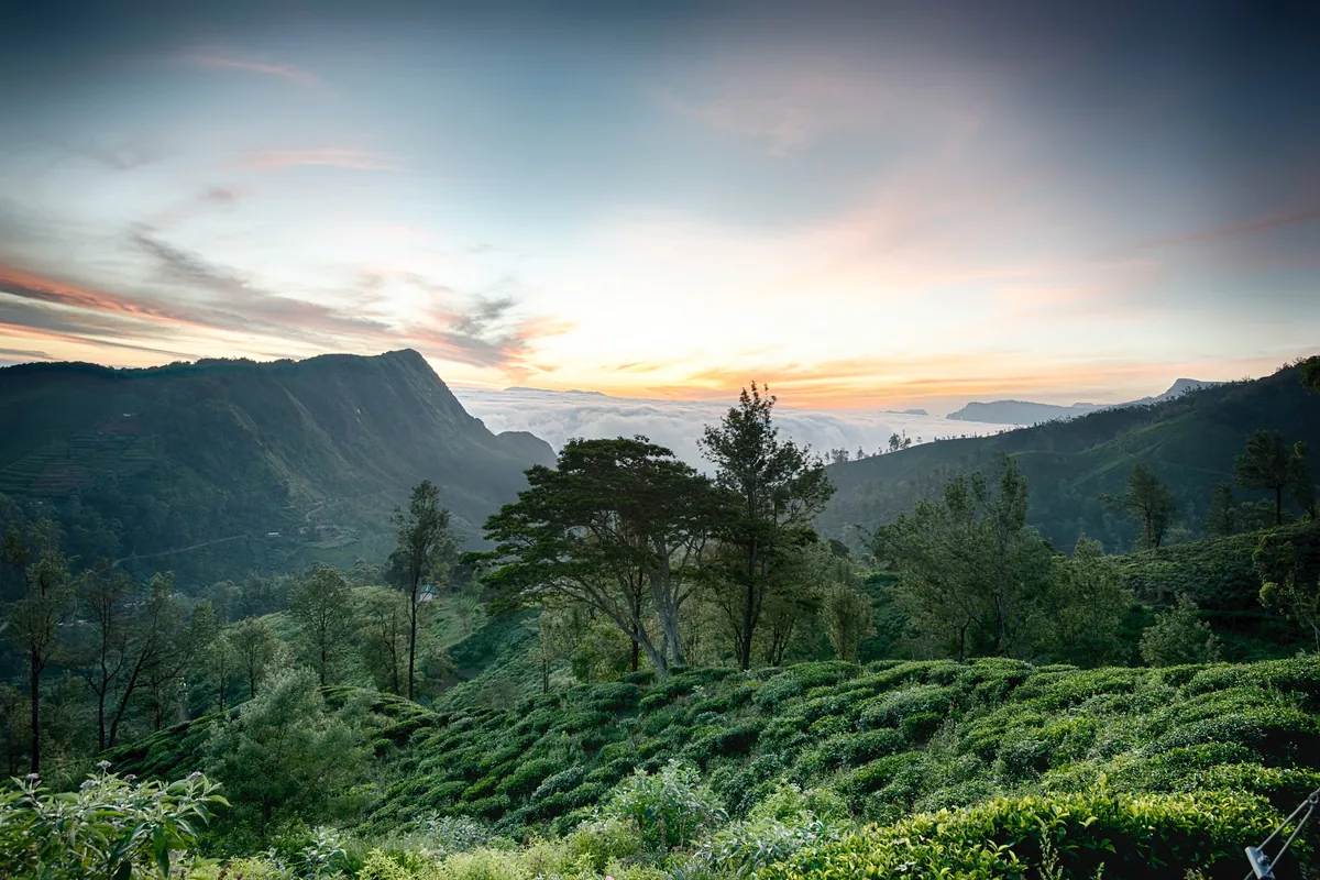 Sri Lanka hill country private driver route with Trustker